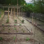Апартаменты Ca Del Bosso *