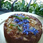 Апартаменты Ca Del Bosso Каламандрана