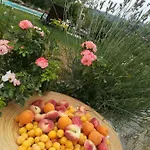 Ca Del Bosso *