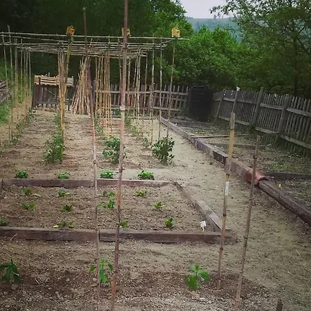 Appartamento Ca Del Bosso *